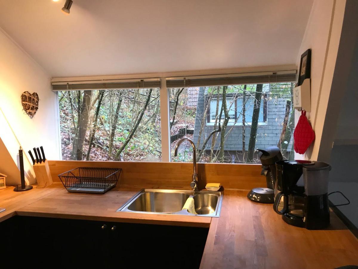 Heavenly Renovated Cabin Near Pittoresque Durbuy - Whistler Villa Exterior photo